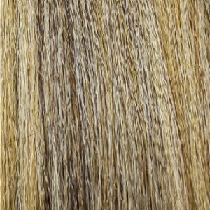 95FLHA18-ASH2722613 colorImage