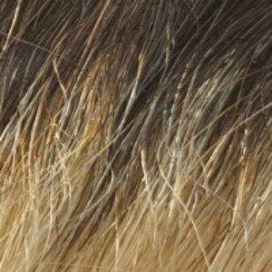 98BANG-U1B27613 colorImage